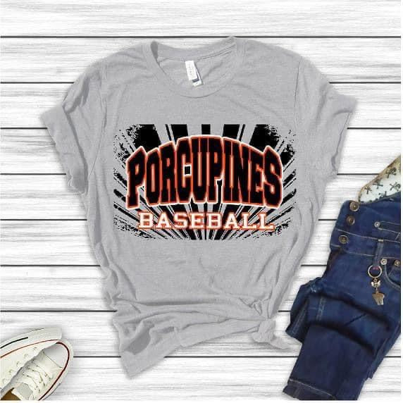 Porcupines Baseball / Softball