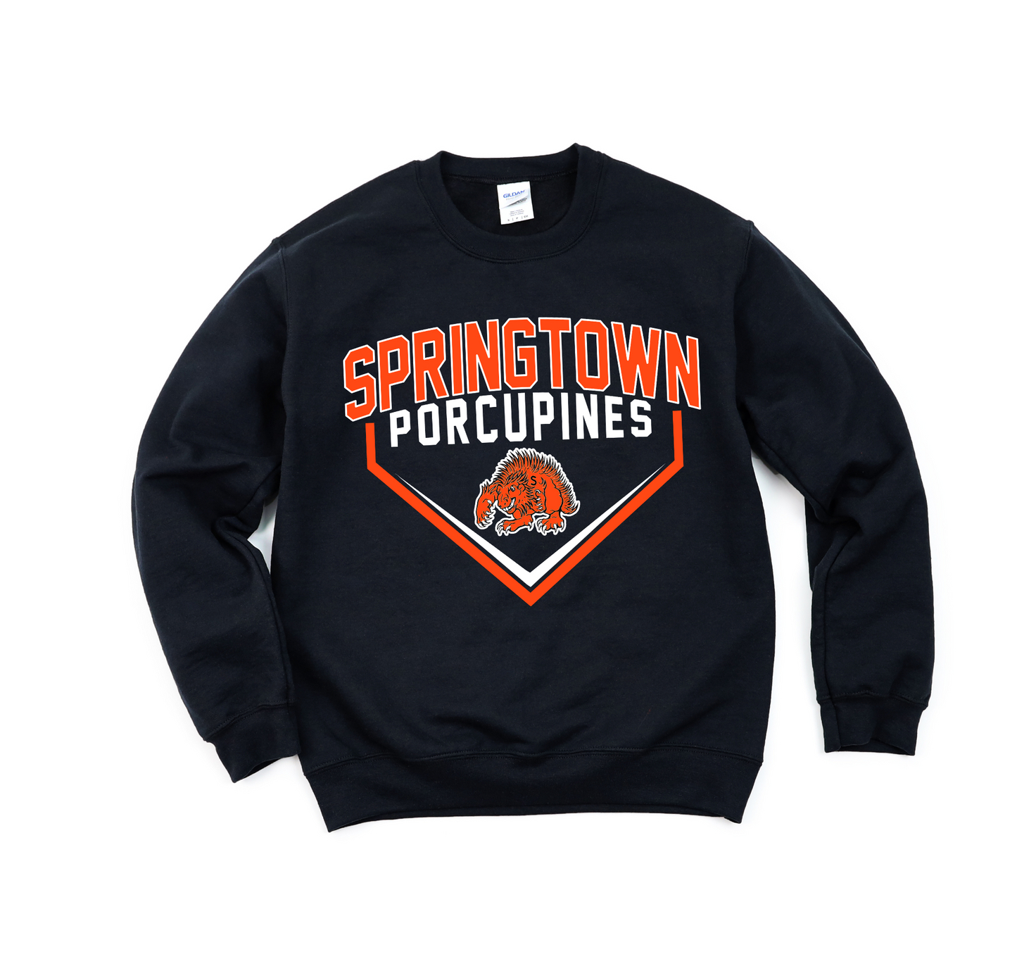 Springtown Porcupines